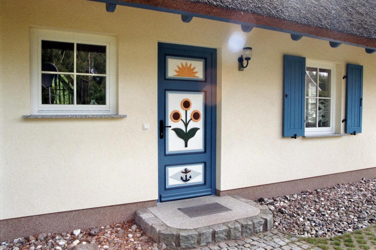 Ferienhaus Mine Sehnsucht Dierhagen Ngoại thất bức ảnh
